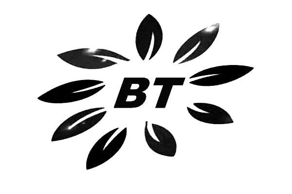 Bitu/碧涂反渗透膜阻垢剂BT0120